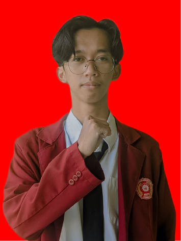 Developer